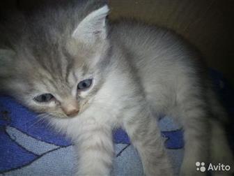 ,,     ,      (  ),    18:00,  