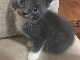  , 2  1  ,   ,  ,    ,      ,     