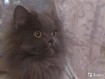 ,   ,  ,  ,       , , ,     ,  ,       