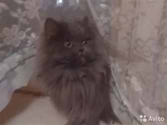 ,   ,  ,  ,       , , ,     ,  ,       