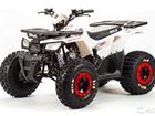  Motoland ATV 125 Wild