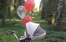  stokke Xplory 31