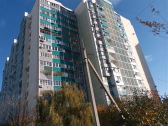  ,       ,   ,  ,    ,       