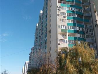  ,       ,   ,  ,    ,       