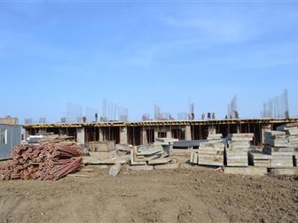      !     (  ),       2019 !    (,  