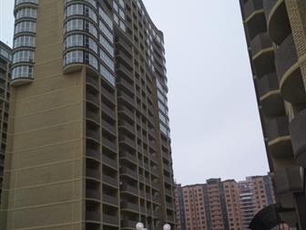  !!!  2-         !     - !   ,    