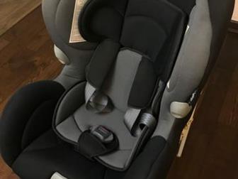  inglesina marco po, /   ,    ,   ,      3   3-3, 5 ,    
