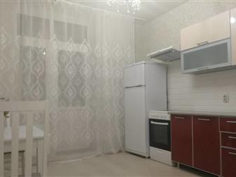  1-  ,  40 ,    4  16  - ,   ,   , -, ,  ,     ,  