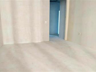      ,      ,        ,       , ,   