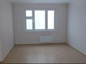  -    ,   ,  ,  ,    ,     ,    