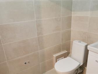   ,       (        )     ,    