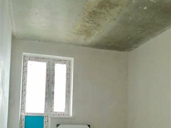     ,   ,      ,  , 
 -   , 
   