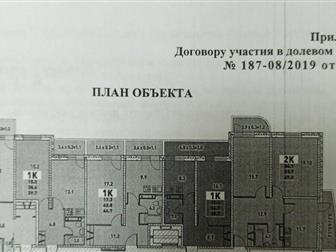  1     ,     2019 ,   ,     ,  80  10  ,  