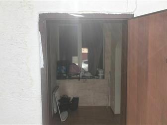  ,    ,  ,     ,     , 
    ,  WhatsApp,      