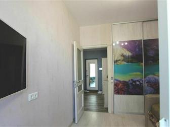  1-()         ,,!  , 2  