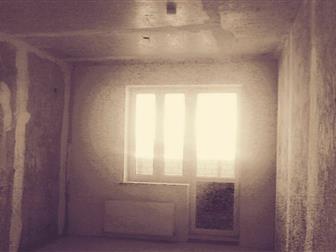   26  ,   ,    ,    ,   ,  2016 , ,  ,     