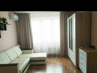  1-,  ,     ,  ,    ,    ,   ,  ,      