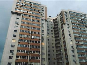   ,   , Ozon,  , ,        10 , 4    