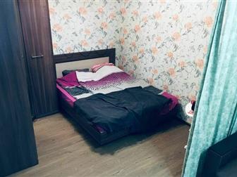   ,   , Ozon,  , ,        10 , 4    