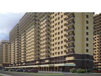  -,    ,      (  5 ),     ,     ,  