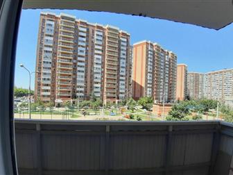  3-    3-  16-  ,      ,        ,    