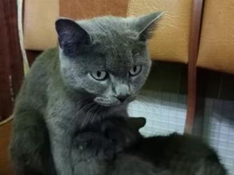      (  ),     ,  