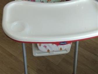    Chicco Polly   ,    3 ,    ,  , : /  