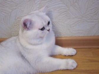    ,  6   1 ,   ,   16, 11,         ,    ,   ,  