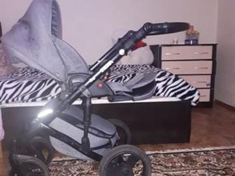     Mikrus Safari 21,    ,     ,    ,  