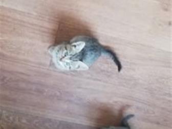  ,        ,         ,   ,       ,     