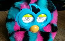 Ը Furby