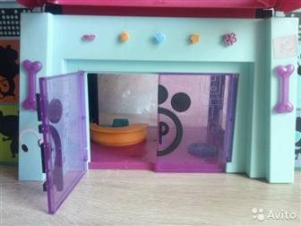        littlest pet shop!     ,         :  