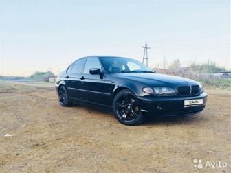   ,,   : 3VIN   : WBAEV334*5K****79 : 4: E46  (20012006):  