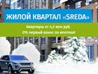      SREDA 38864246  