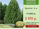      ,  70%! 32327453  
