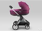 Stokke crusi