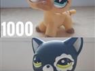 Littlest Pet Shop