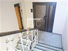 ID #3706. ������������ � ������ ������� ��������� 323 ��.�. 