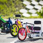 ������������ ���� ������� � ������������ ����������� ����������