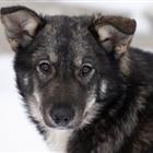 ������� � ������� ����