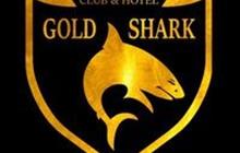   Gold Shark