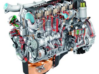  foto       33916984  --