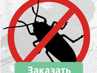 Увидеть изображение  Санобработка от тараканов и клопов 38455435 в Тольятти