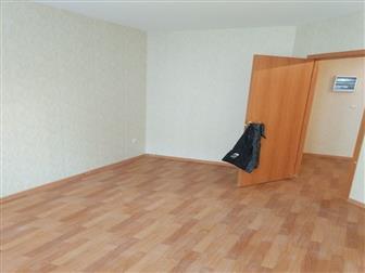    1-    , 42474459  -