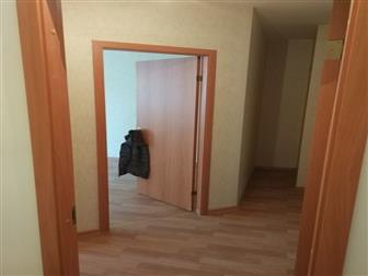     1-    , 42474459  -
