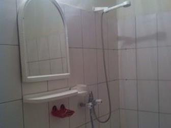  foto     , 66545158  