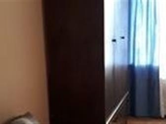       , 66557377  