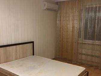  foto   1-    , 67697081  