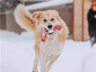 ���� � ������