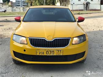   ,   ,  Skoda Octavia,  ,   ,       ,        ,  